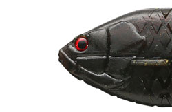 　ギルフラットJr