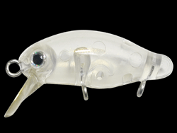 カディス(F) (8アイテム)