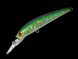 　DDパニッシュエリア55R