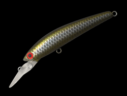 　DDパニッシュエリア55R