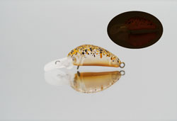 　クロトミニDR(SS)