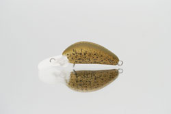 　クロトミニDR(SS)