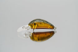 　クロトミニDR(SS)