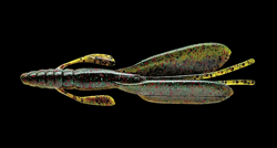 　F-エスケープツイン