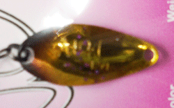 　NOA1.5g・2025セレクトカラー