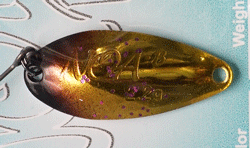 　NOA-B2.2g・2025セレクトカラー