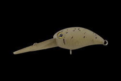 　パニクラ・ダッシュDDR