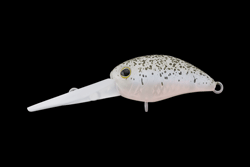 　パニクラ・ダッシュDDR