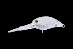 　パニクラ・ダッシュDRラトル