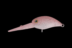 　パニクラ・ダッシュDRラトル