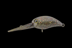 　パニクラ・ダッシュDRラトル