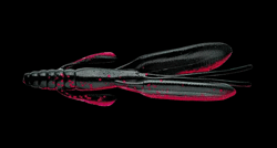 　F-エスケープリトルツイン