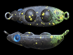 　オッキナズルビー