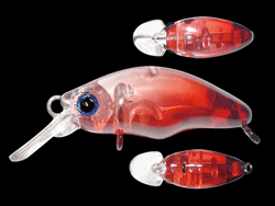 　ダンゴウオSR-Low