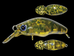 　ダンゴウオSR-Low