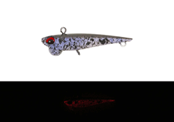 　シャインライド