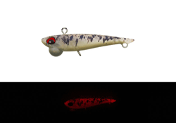 　シャインライド