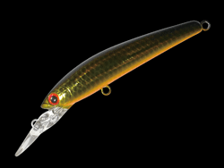 　パニッシュエリア55R