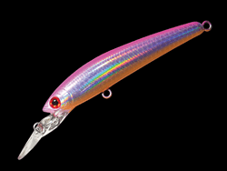 　パニッシュエリア55R