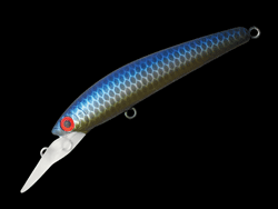 　パニッシュエリア55R