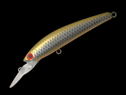 　パニッシュエリア55R