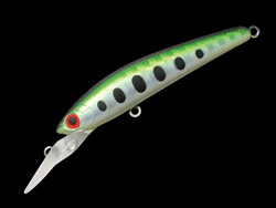 　パニッシュエリア55R