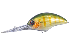 　ブリッツMAXプラス-DR