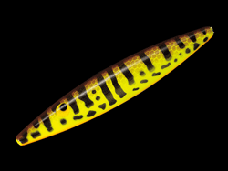 　SMダイイングフラッターX9205