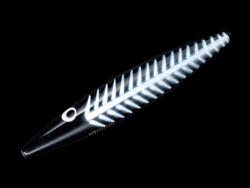 　SMダイイングフラッターX9205