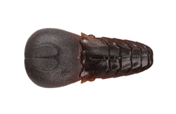 　AKパンチフラット4