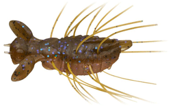 　フラッターギズモ