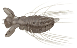 フラッターギズモ (7アイテム)