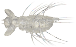 　フラッターギズモ