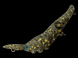 　チクタクリッパー・HS