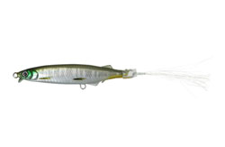 　GCマジＩ字(ラレシ)60F