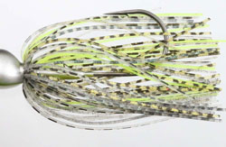 　AKチャターJr・12g