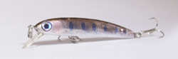 No.75449 K-150ߥΡSP