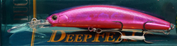 ǥץե90D(F)